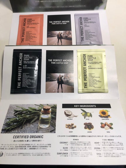 ザ・パーフェクトアンカー ブラックスプルースブレンド #31/THE PERFECT ANCHOR/ボディソープを使ったクチコミ(2枚目)