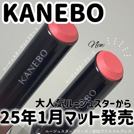ルージュスターヴァイブラント/KANEBO/口紅を使ったクチコミ(1枚目)