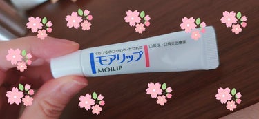 モアリップ N (医薬品)/資生堂薬品/リップケア・リップクリームを使ったクチコミ（1枚目）