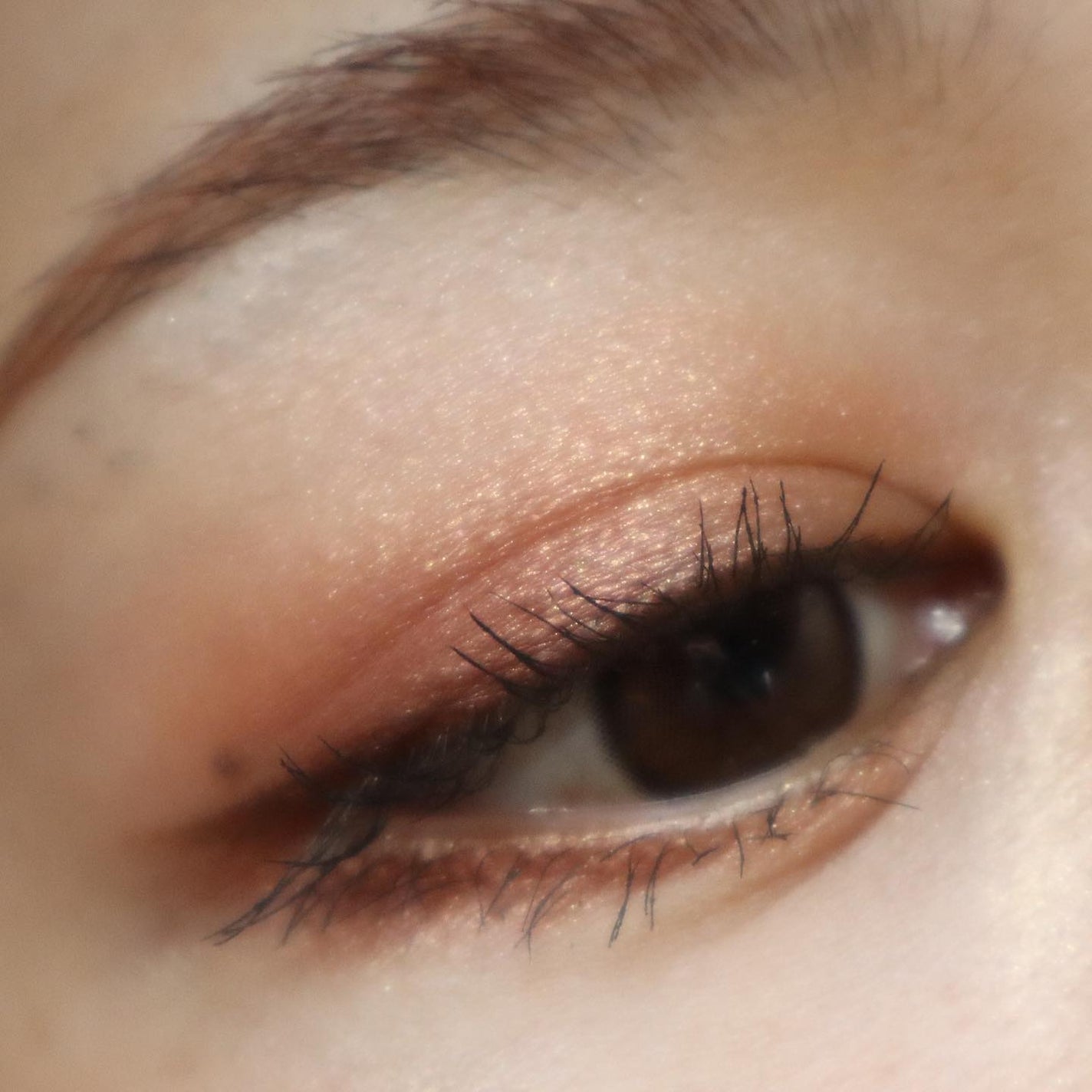 スキニーリッチシャドウ/excel/アイシャドウパレットを使ったクチコミ(6枚目)