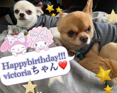 こんばんはー❤
今日!!
2020年7月31日、仲良しで大好きな
victoriaちゃんのバースデー🎂✨

おめでとう🎊おめでとう🎉🎉🎉
滑り込みセーフ😭明日見てくれたらいいな😭
遅くなって本当にごめんね💦

これからも仲良くしてね❤いつもありがとー(/ω＼*)︎💕︎💕さっき年齢知ったんだけど、若いよー😭私より年下と思ってて、生意気すぎてごめんねー💦でも対応変えない!!笑



最近、チャットできるようになりました!!
チャットしてる人いたら誘ってください❤
全然投稿を見れてなくてすみません😭



明日またうろちょろしますー!!
おやすみななさい(っ´˟`(´˟`*)♡の画像 その0