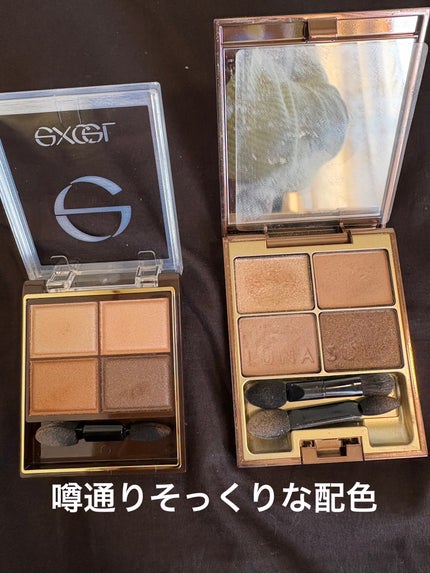 スキニーリッチシャドウ/excel/アイシャドウパレットを使ったクチコミ(2枚目)