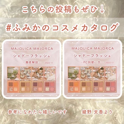 シャドーフラッシュ /MAJOLICA MAJORCA/アイシャドウパレットを使ったクチコミ(10枚目)