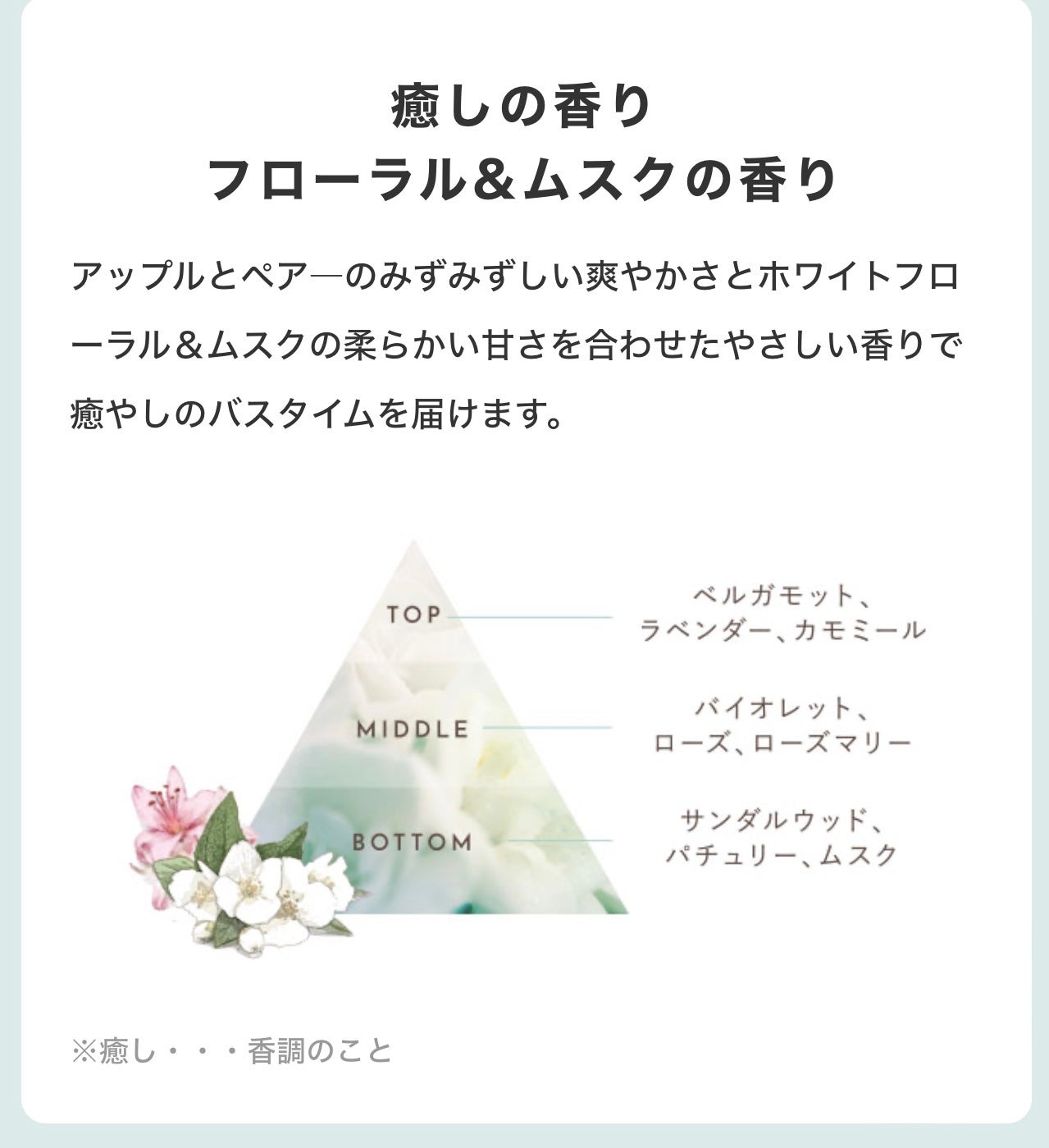 ã·ã£ã³ããŒ/ããªãŒãã¡ã³ã SR/CLAYGE/åžè²©ã·ã£ã³ããŒã䜿ã£ãã¯ãã³ãïŒ8æç®ïŒ