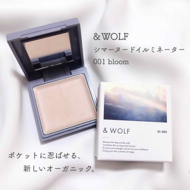 シマーヌードイルミネーター/& WOLF/ハイライトを使ったクチコミ（1枚目）