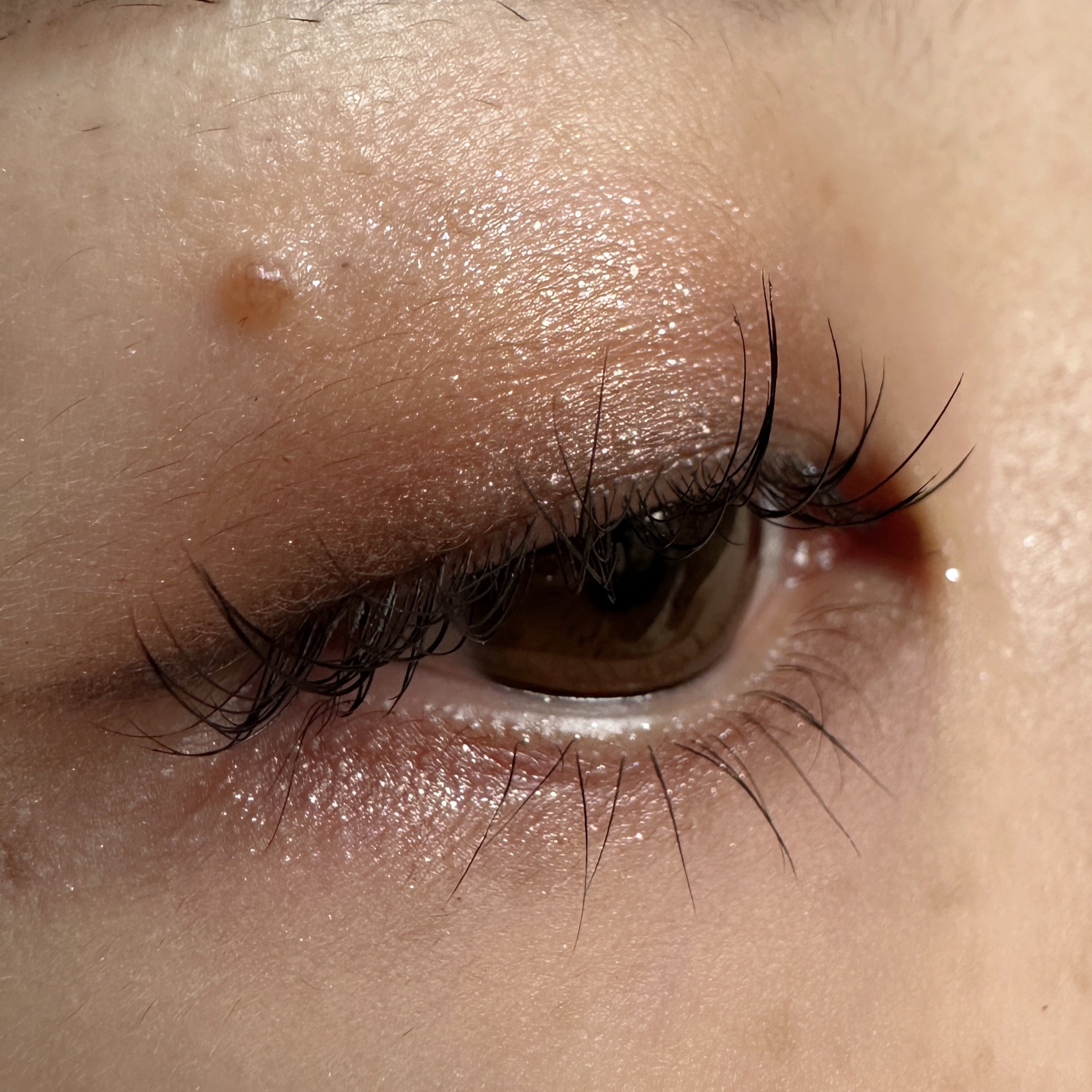 アイラッシュブラックコーティング/GLAMORIZE/マスカラを使ったクチコミ（3枚目）