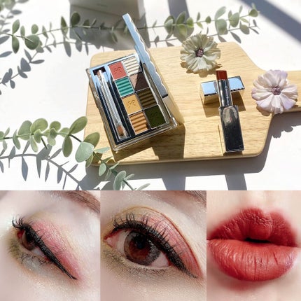 SAINKO ベルベットアイシャドウパレット/SAINKO/アイシャドウパレットを使ったクチコミ(1枚目)