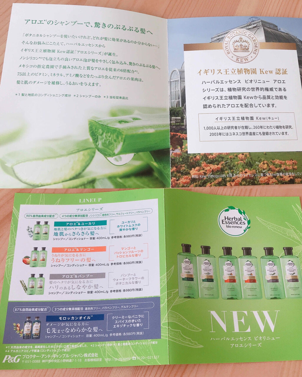 ビオリニュー アロエ＆バンブー シャンプー／コンディショナー/ハーバルエッセンス/市販シャンプーを使ったクチコミ（2枚目）
