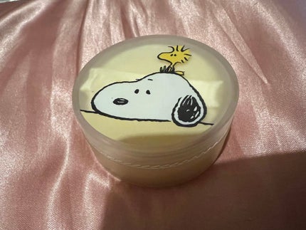 ノーセバム ミネラルパウダー N/innisfree/ルースパウダーを使ったクチコミ(1枚目)