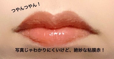 ニュアンスラップティント 02 珊瑚ローズ/Fujiko/口紅の画像