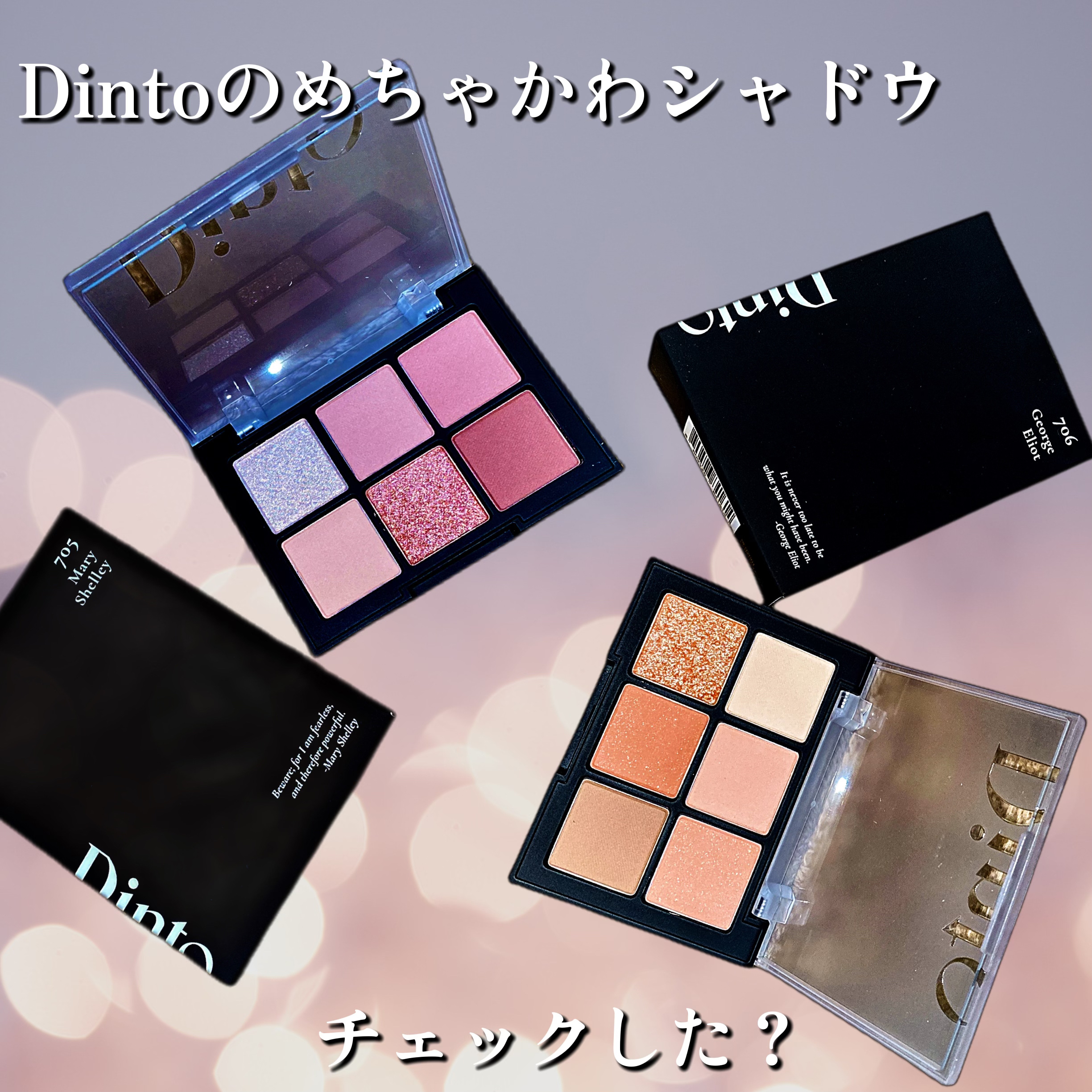 ブラーフィニシュシャドウパレット/Dinto/アイシャドウパレットを使ったクチコミ（1枚目）