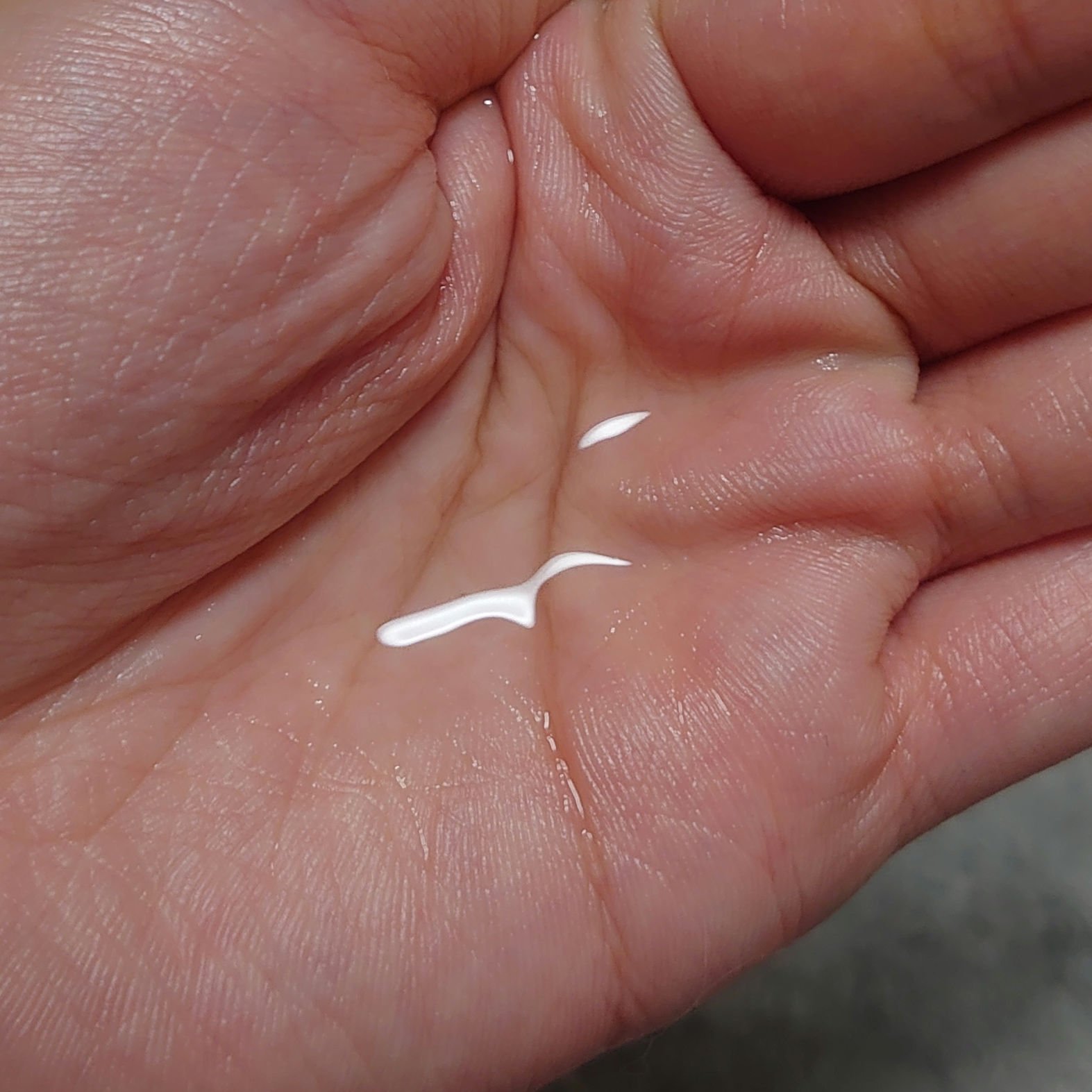 ヴィーガンデイリーグロートナー/MIGUHARA/化粧水を使ったクチコミ（3枚目）