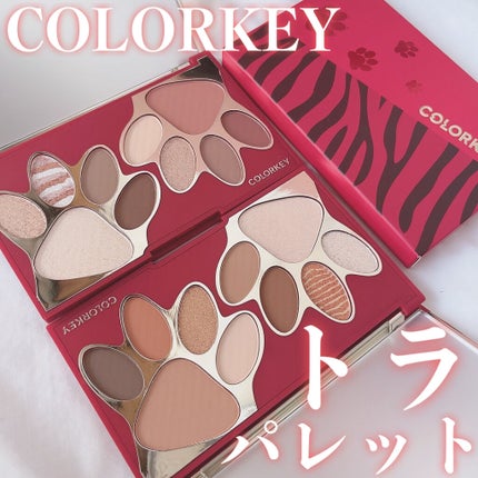 トラ十色アイシャドウパレット/COLORKEY/アイシャドウパレットを使ったクチコミ(1枚目)