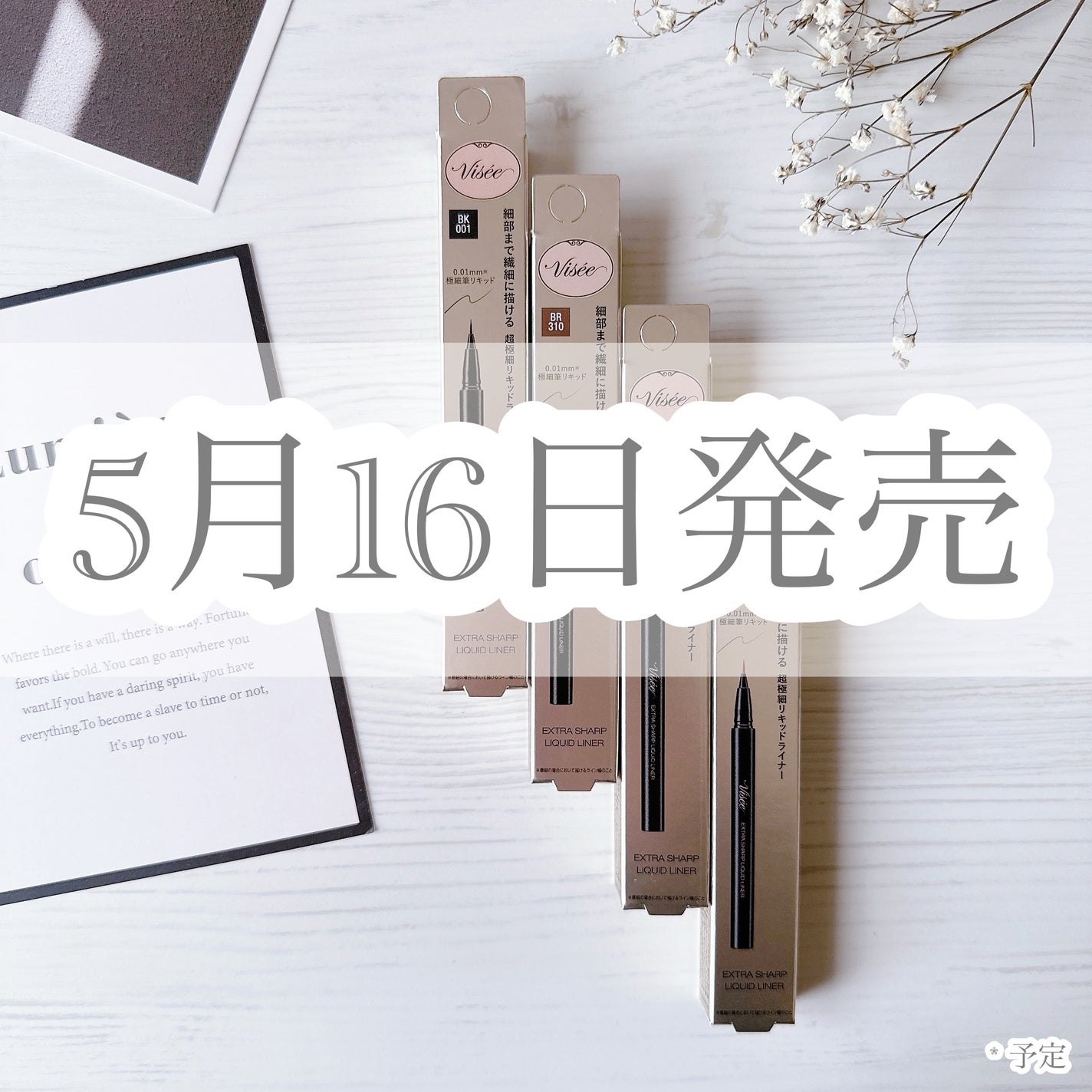 エクストラシャープ リキッドライナー/Visée/リキッドアイライナーを使ったクチコミ(1枚目)