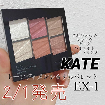 トーンディメンショナルパレット/KATE/メイクアップキットを使ったクチコミ(1枚目)