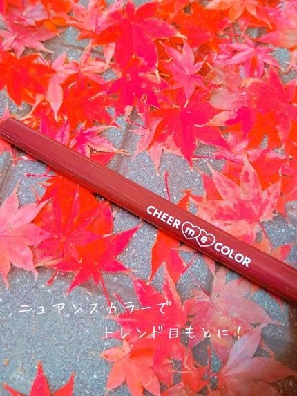 CHEER me COLOR リキッドアイライナー/セリア/リキッドアイライナーを使ったクチコミ(1枚目)