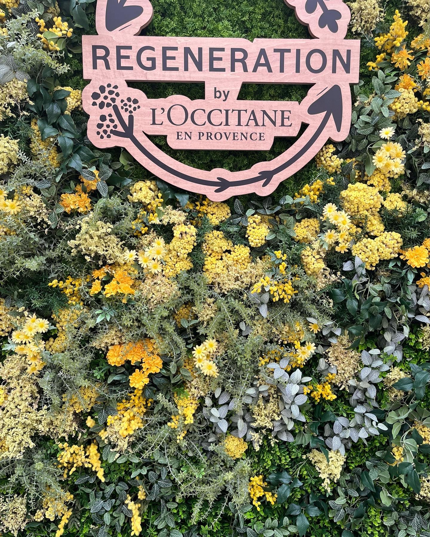 ヴァーベナ オードトワレ 100ml/L'OCCITANE/香水(レディース)を使ったクチコミ（1枚目）