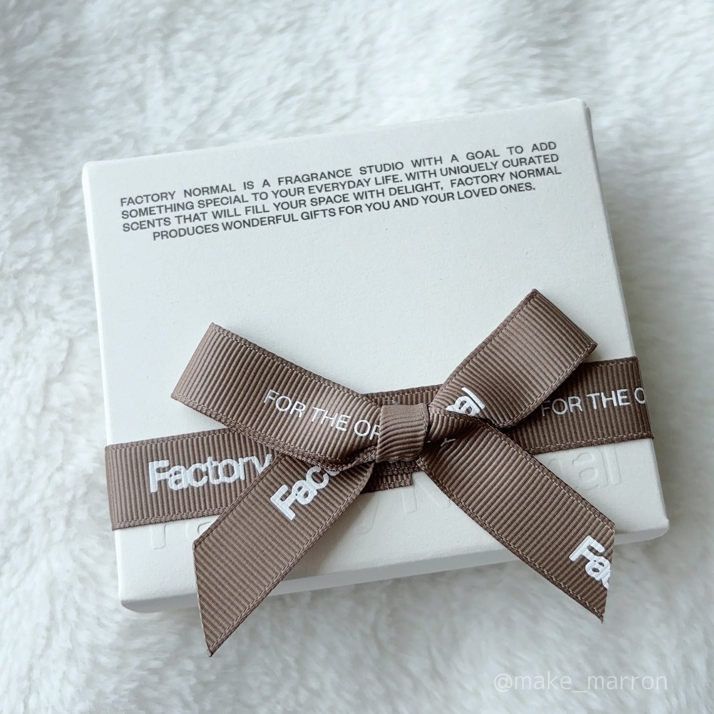 Vegan Jumbo Peppermint Lip Balm/Factory Normal/リップバームを使ったクチコミ(1枚目)