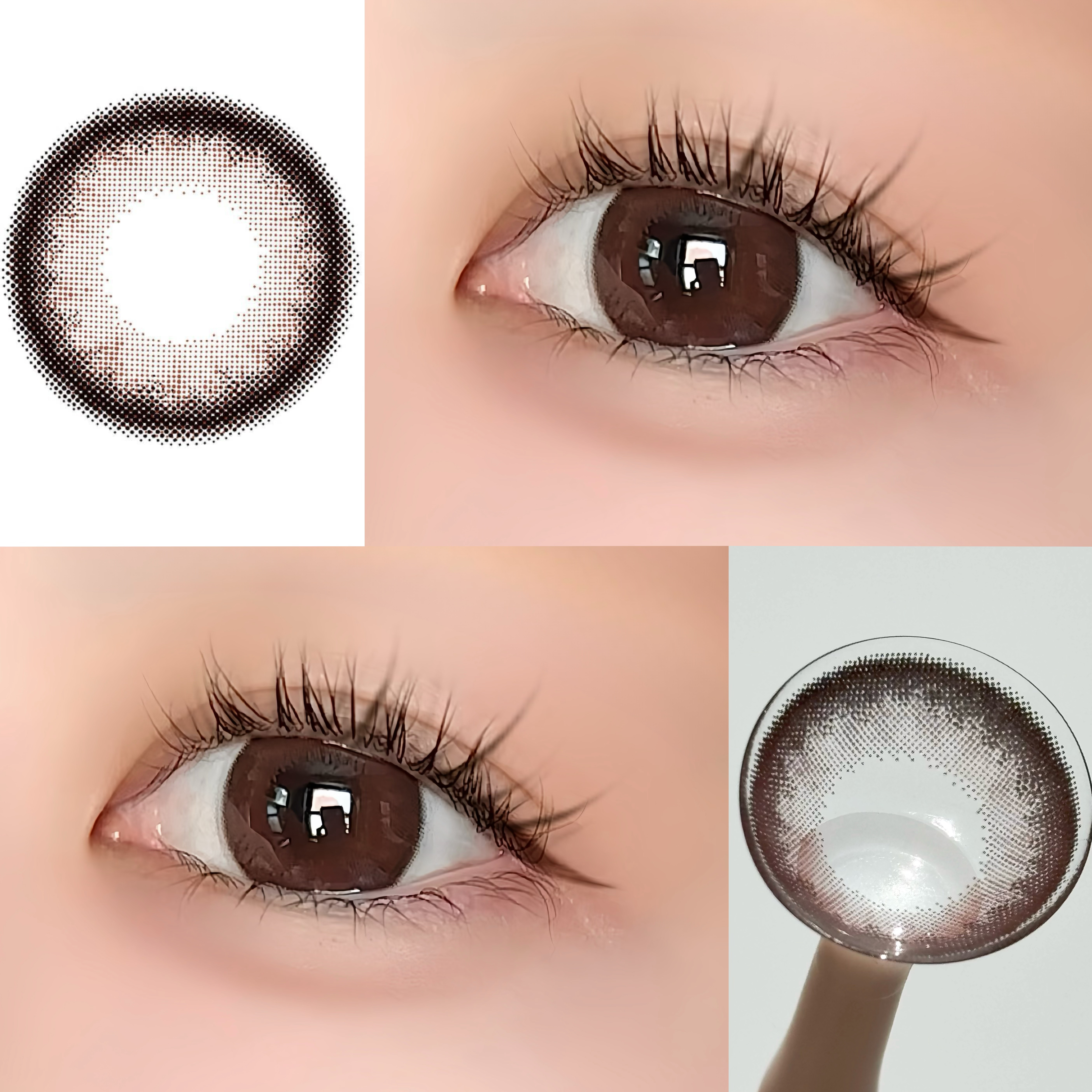 Angelcolor Bambi Series 1day /AngelColor/ワンデー（１DAY）カラコン by Suzuka