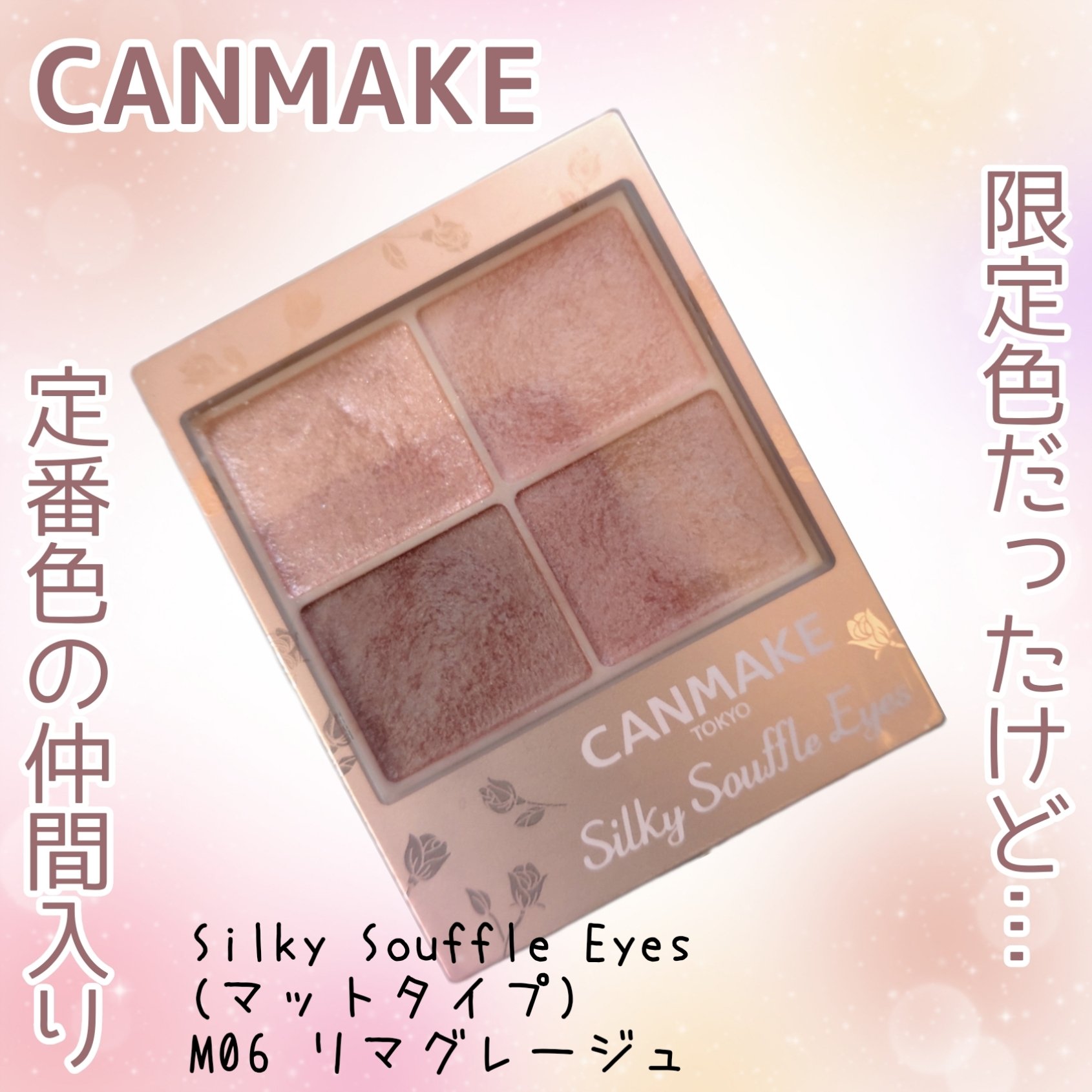 シルキースフレアイズ（マットタイプ）/キャンメイク/アイシャドウパレットを使ったクチコミ（1枚目）