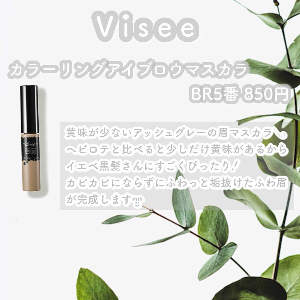 リシェ カラーリング アイブロウマスカラ/Visée/眉マスカラを使ったクチコミ(3枚目)