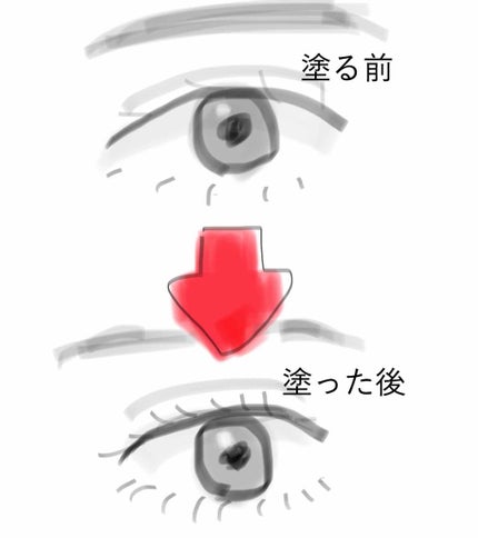 「塗るつけまつげ」自まつげ際立てタイプ/デジャヴュ/マスカラを使ったクチコミ(2枚目)