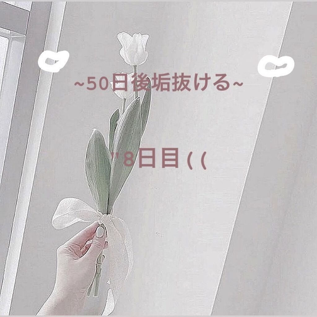 を使ったクチコミ（1枚目）