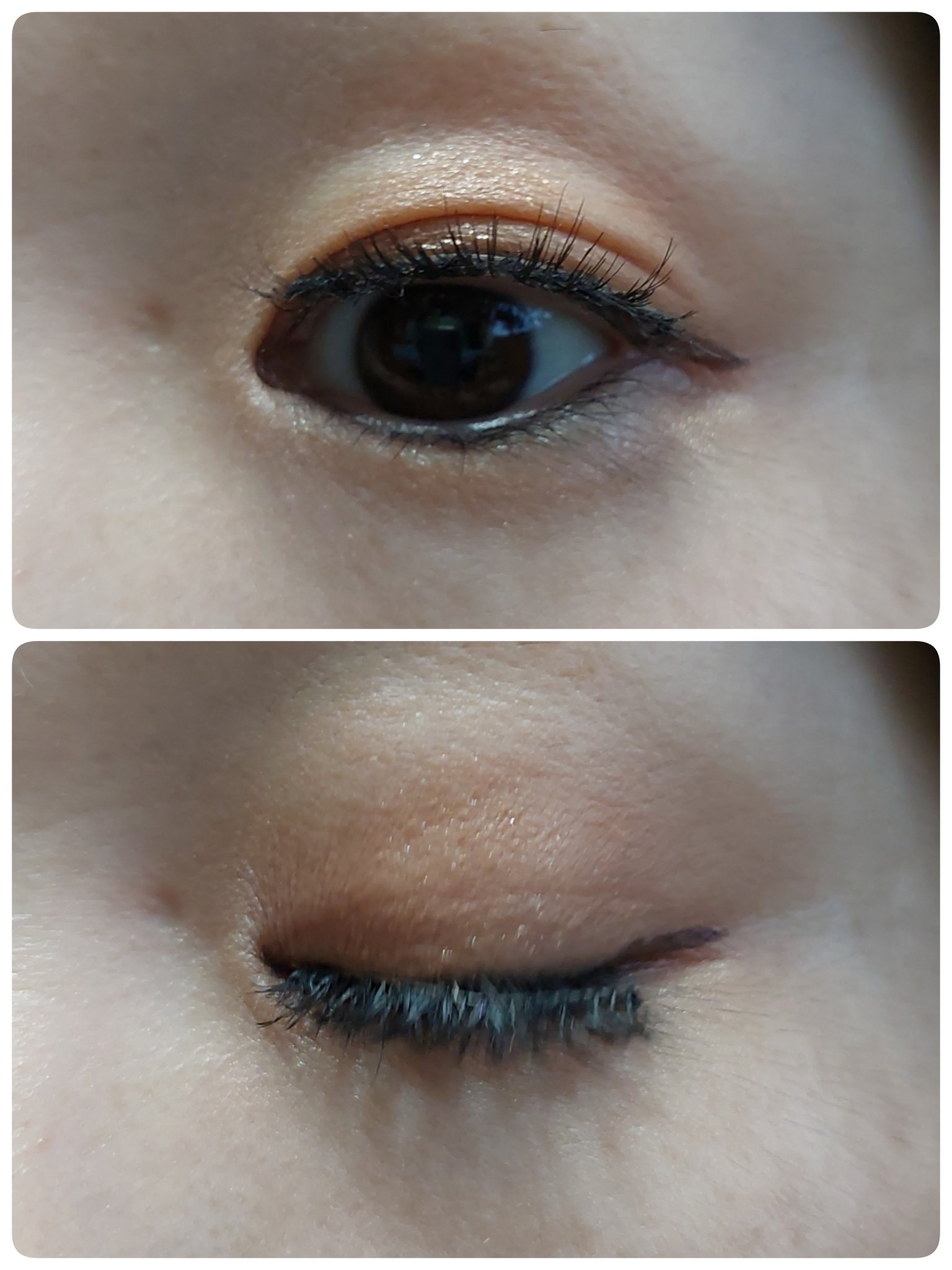 つけまつ毛/SHEIN/つけまつげを使ったクチコミ（2枚目）