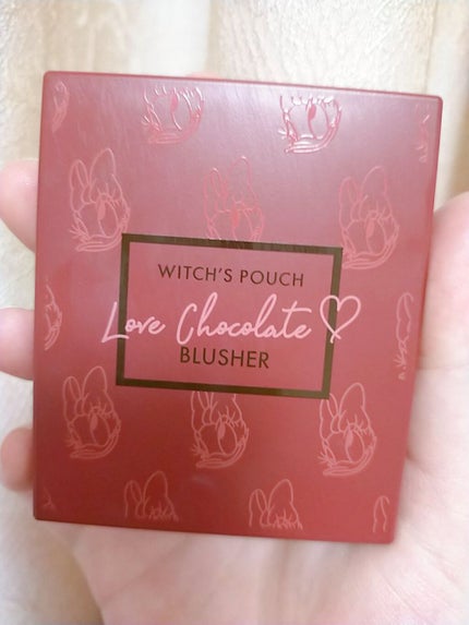 セルフィーフィックスピグメント/Witch's Pouch/単色アイシャドウを使ったクチコミ(3枚目)