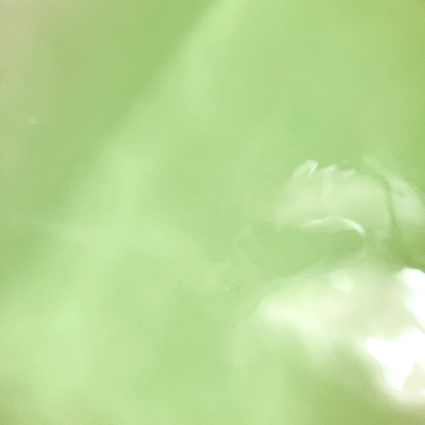 アーユルタイム スパークリングタブレット/アーユルタイム/炭酸系入浴剤を使ったクチコミ(4枚目)