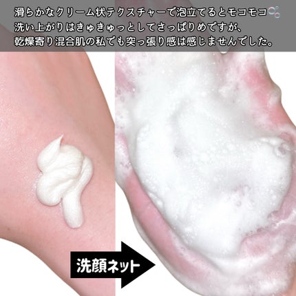 ティーツリーコントロールパッド/PAPA RECIPE/トナーパッドを使ったクチコミ(5枚目)