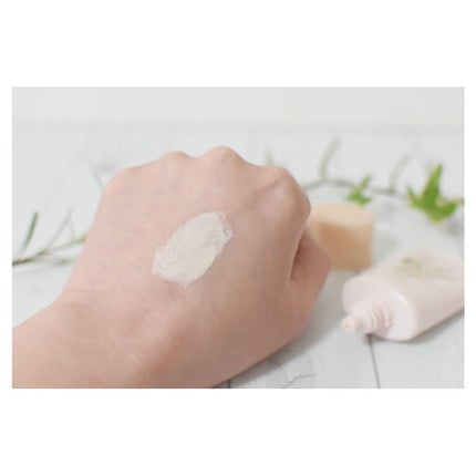 乾燥防止下地  25g/毛穴パテ職人/化粧下地の画像