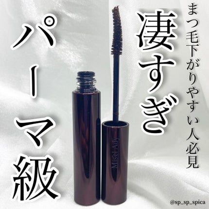エテュセ アイエディション (マスカラベース)/ettusais/マスカラ下地を使ったクチコミ(1枚目)