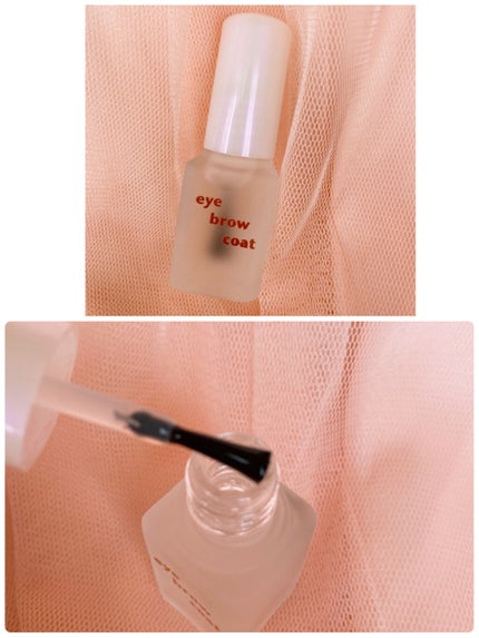 エバビレーナ アイブローコート/DAISO/アイブロウコートを使ったクチコミ(2枚目)