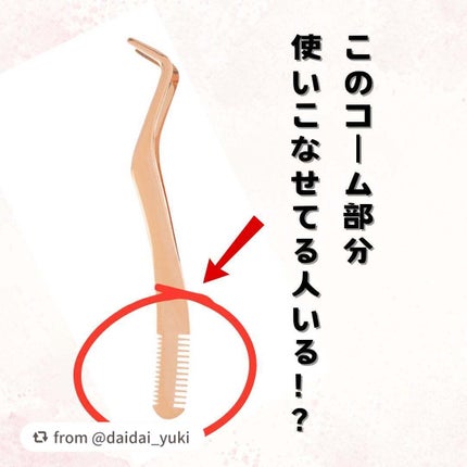 束感まつげコーミングピンセット/SHOBIDO/その他化粧小物を使ったクチコミ(1枚目)