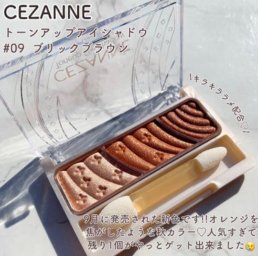 トーンアップアイシャドウ/CEZANNE/アイシャドウパレットを使ったクチコミ（2枚目）