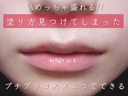 リップ ライナー/ちふれ/リップライナーを使ったクチコミ(1枚目)