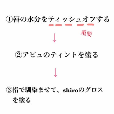 ミントジンジャーリップバター/SHIRO/リップグロスを使ったクチコミ（2枚目）