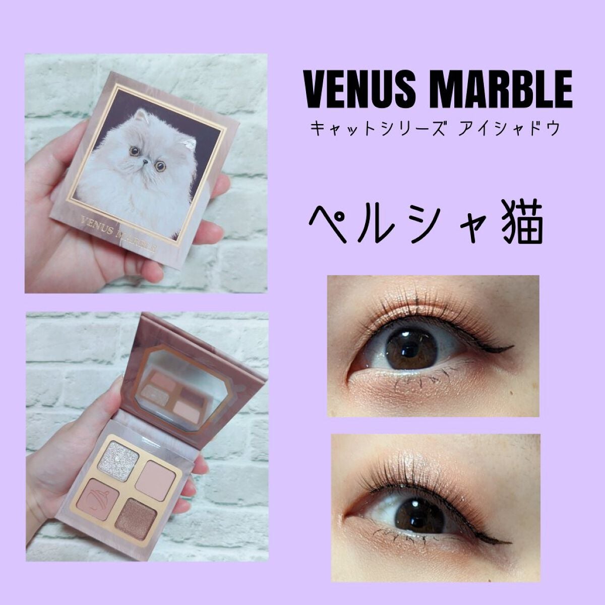 Venus Marble アイシャドウキャットシリーズ/Venus Marble/アイシャドウパレットを使ったクチコミ(1枚目)