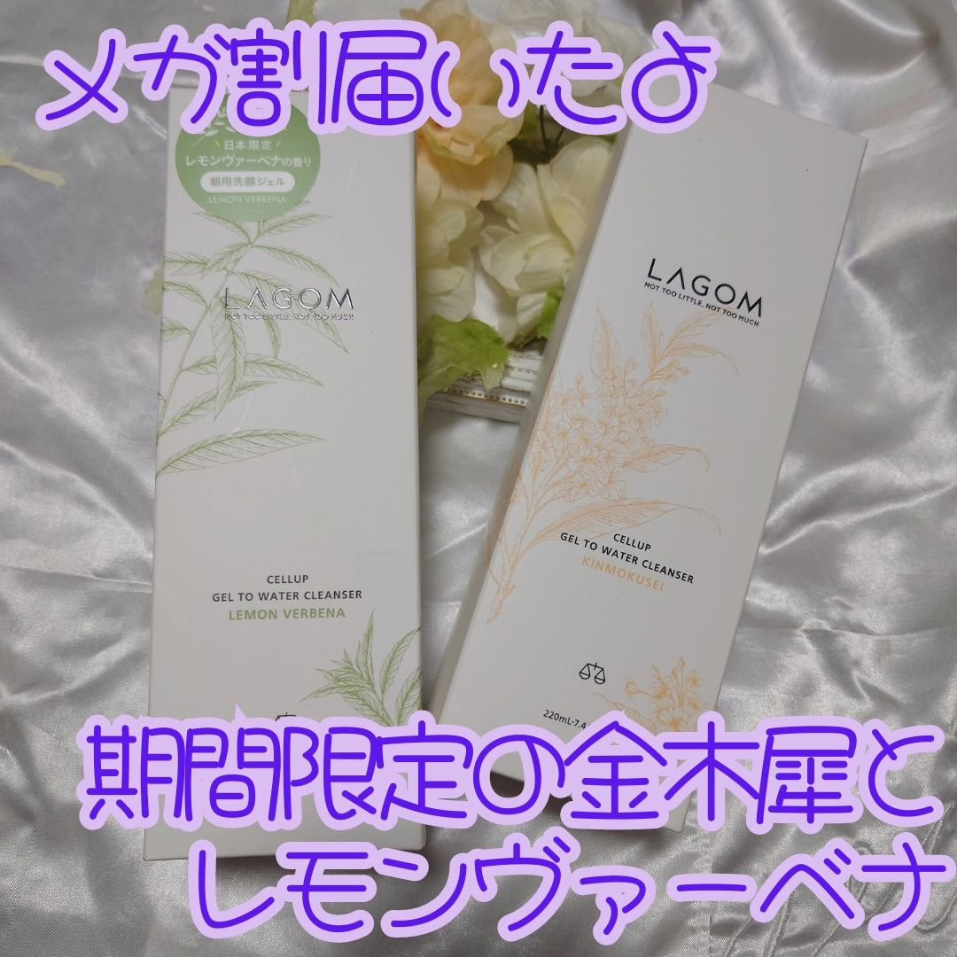 ラゴム ジェルトゥウォーター クレンザー(LV)(朝用洗顔)/LAGOM /その他洗顔料を使ったクチコミ（1枚目）