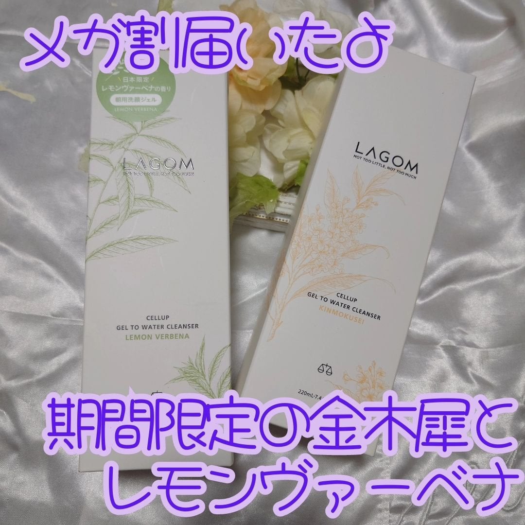 ジェルトゥウォーター クレンザー(KI)(朝洗顔料)/LAGOM /その他洗顔料を使ったクチコミ(1枚目)