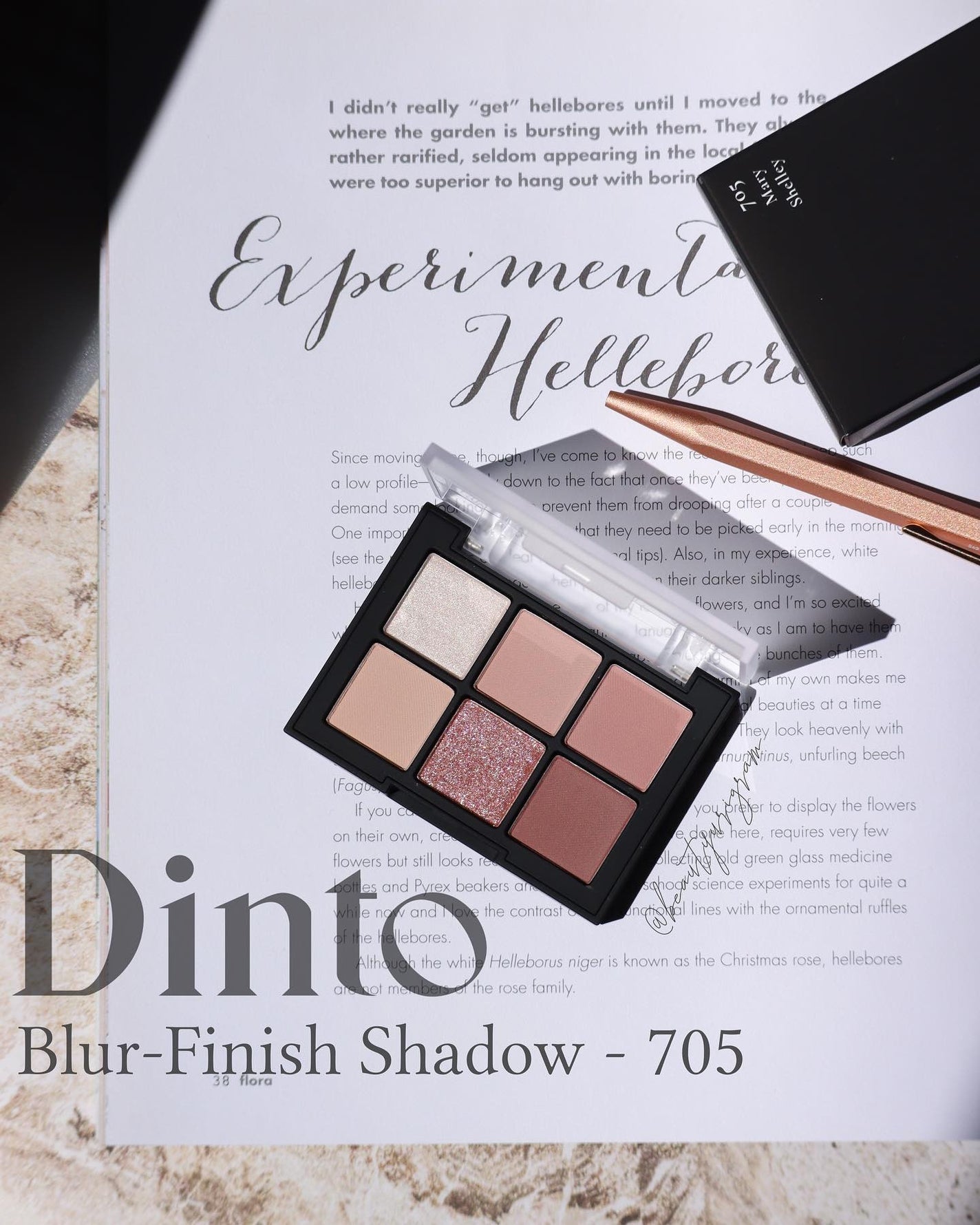 ブラーフィニシュシャドウパレット/Dinto/アイシャドウパレットを使ったクチコミ(1枚目)