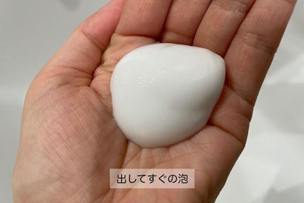 ベースケア セラム<土台美容液> レフィル(90g)/SOFINA iP/美容液の画像