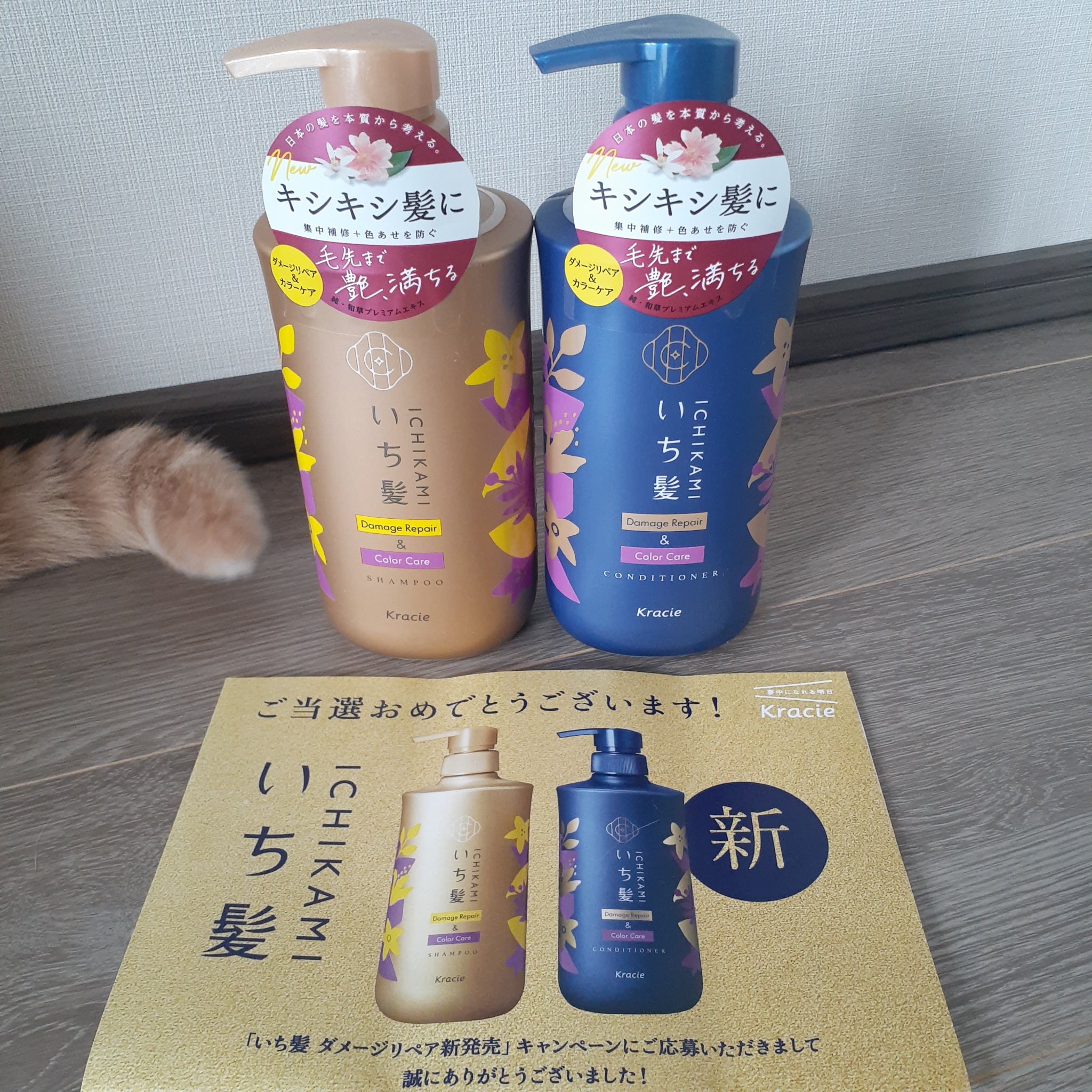 ダメージリペア＆カラーケア シャンプー/コンディショナー/いち髪/市販シャンプーを使ったクチコミ（3枚目）