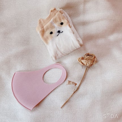 ななな on LIPS 「みてくれてありがとう🤍なななです🐼今日は、これから車の免許を取..」(5枚目)