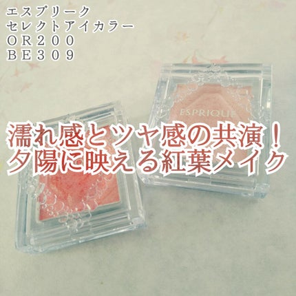 セレクト アイカラー/ESPRIQUE/単色アイシャドウを使ったクチコミ(1枚目)