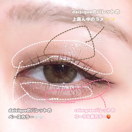 シャドウパレット/dasique/アイシャドウパレットを使ったクチコミ(4枚目)