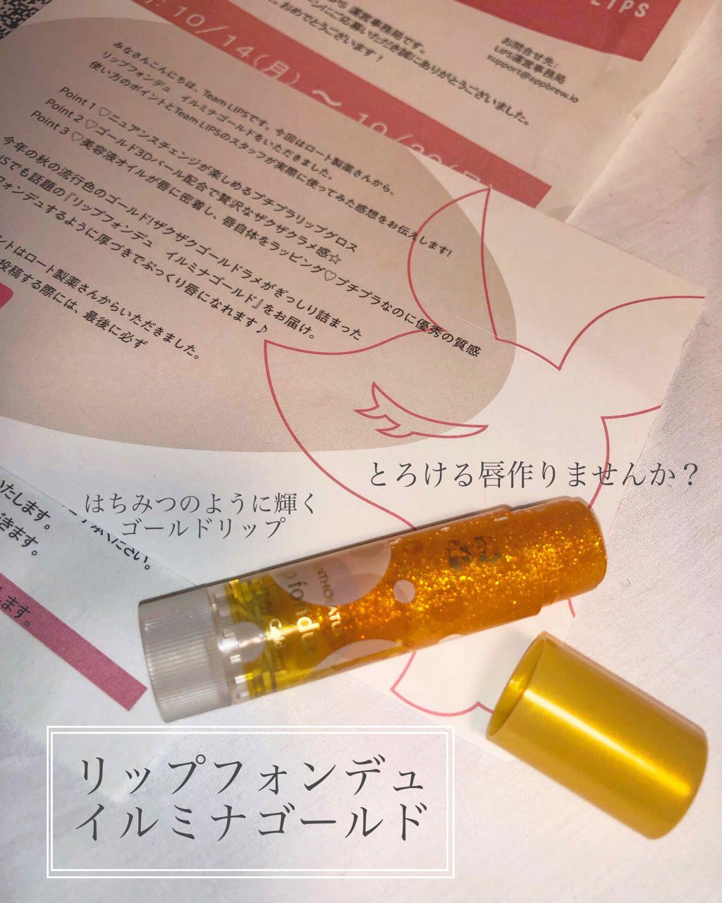 リップフォンデュ/メンソレータム/リップバームを使ったクチコミ（1枚目）