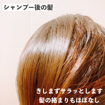ルミニーク バランス モイストリペア シャンプー/トリートメント/LUX/市販シャンプーを使ったクチコミ(3枚目)