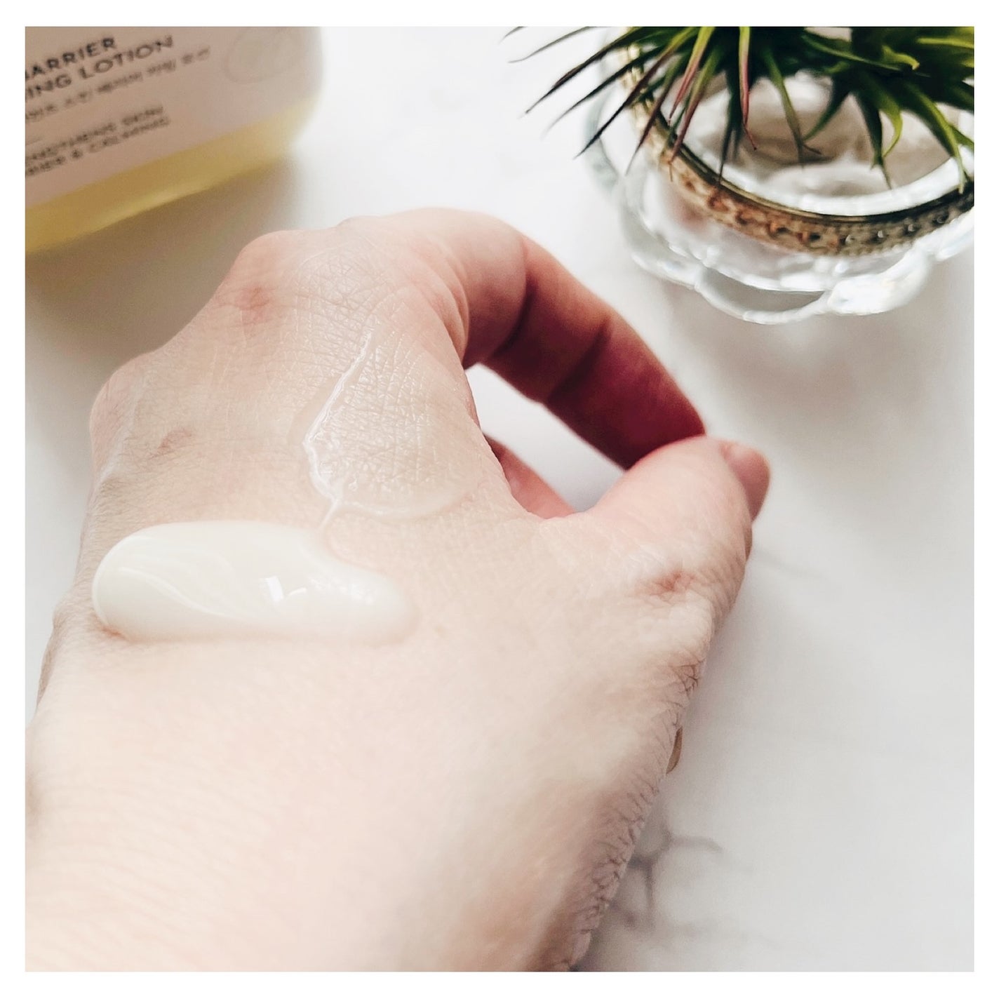 Skin Barrier Calming Lotion/Ongredients/乳液を使ったクチコミ(3枚目)